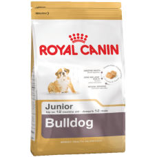 Bulldog Junior Royal Canin